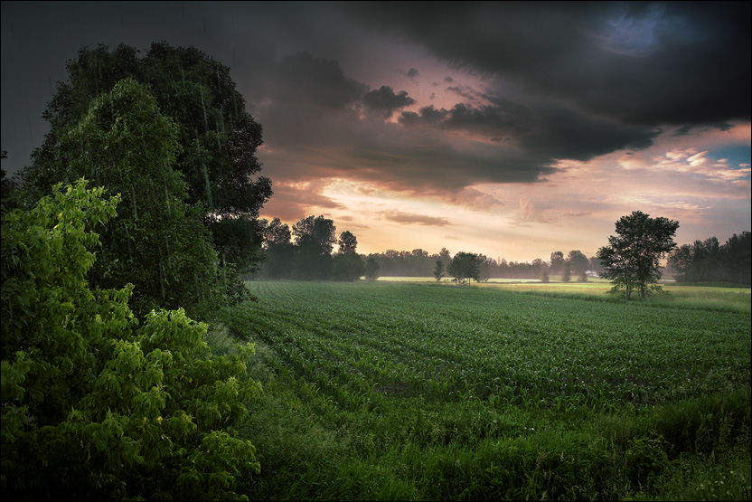 Sous la pluie